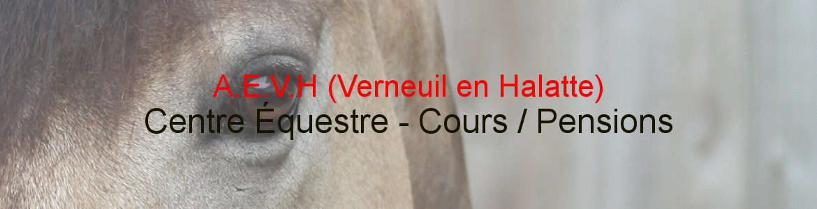 A.E.V.H (Verneuil en Halatte)